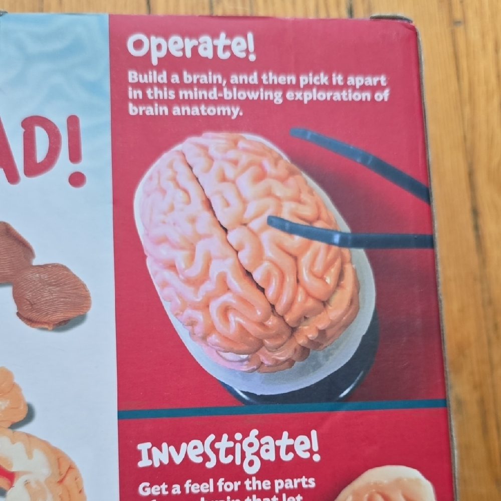 New The Amazing Squishy Brain Toy - Gray and Orange
